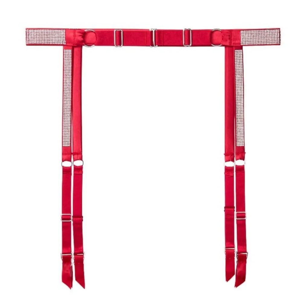 Victoria secret Shine Garter size XS/S NWT - Picture 2 of 8